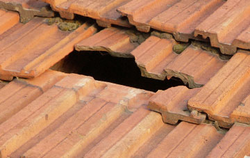 roof repair Meadowfield, County Durham